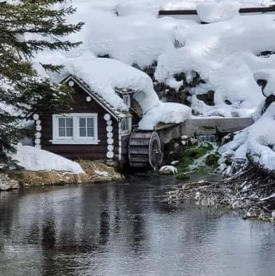Family enjoying outdoor activities near Yellowstone