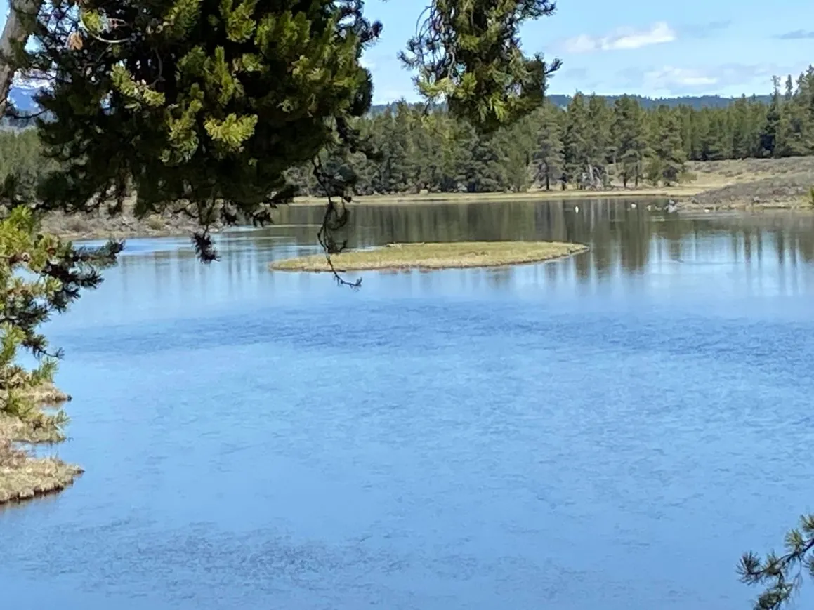 Henry's Fork at Harriman State Park in Island Park, Idaho — the most storied stretch of fly fishing water in America
