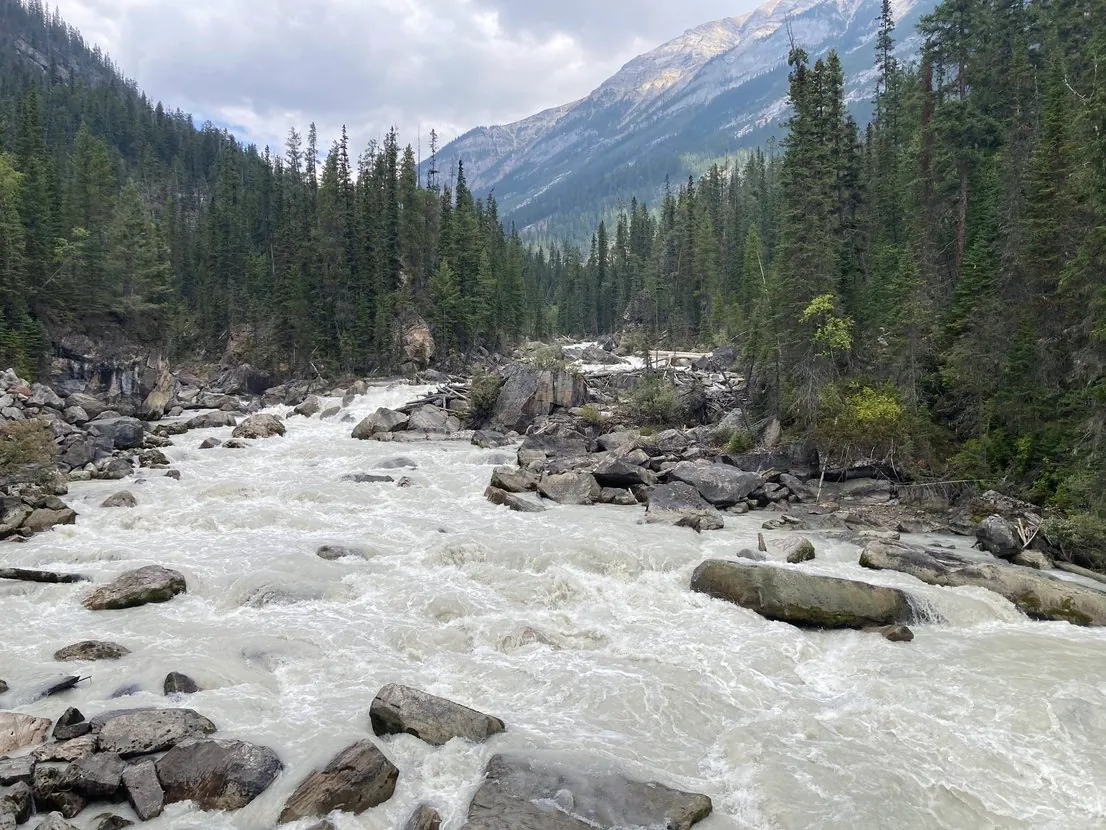 Mountain hiking trail and stream near Yellowstone