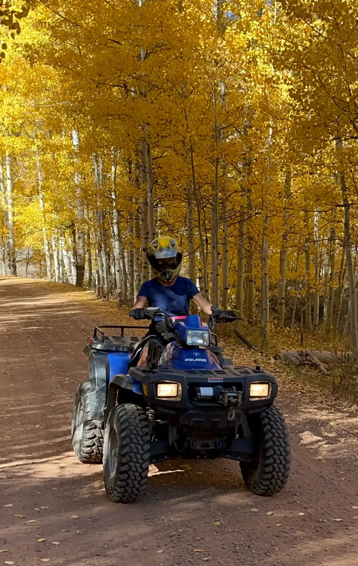 The Best ATV Trails in the Island Park Caldera