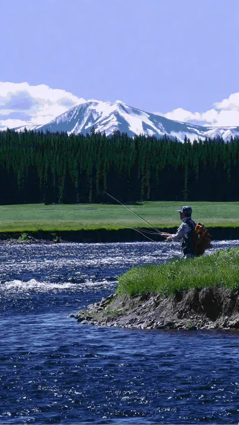 Best Places to Fly Fish in Island Park & the Henry's Fork