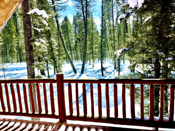 Upper deck with outdoor seating and forest views