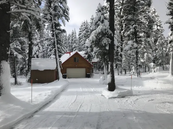 Winter view of cabin with snow-laden trees