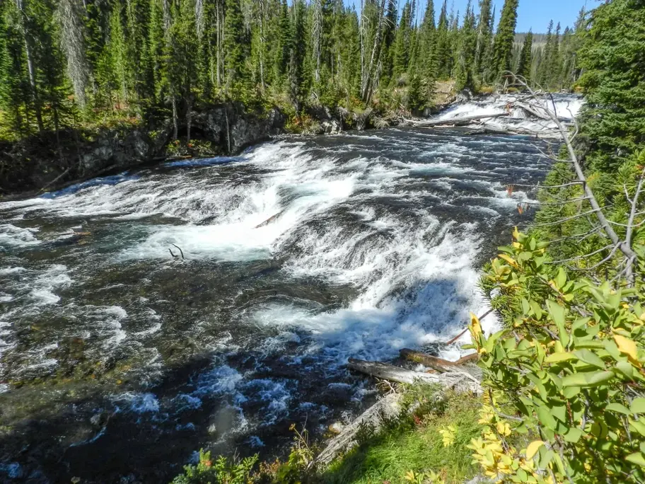 Whitewater rapids on the Bechler River