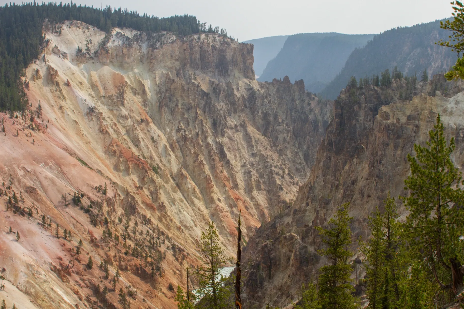 Yellowstone Photography Guide: Best Photo Spots by Season