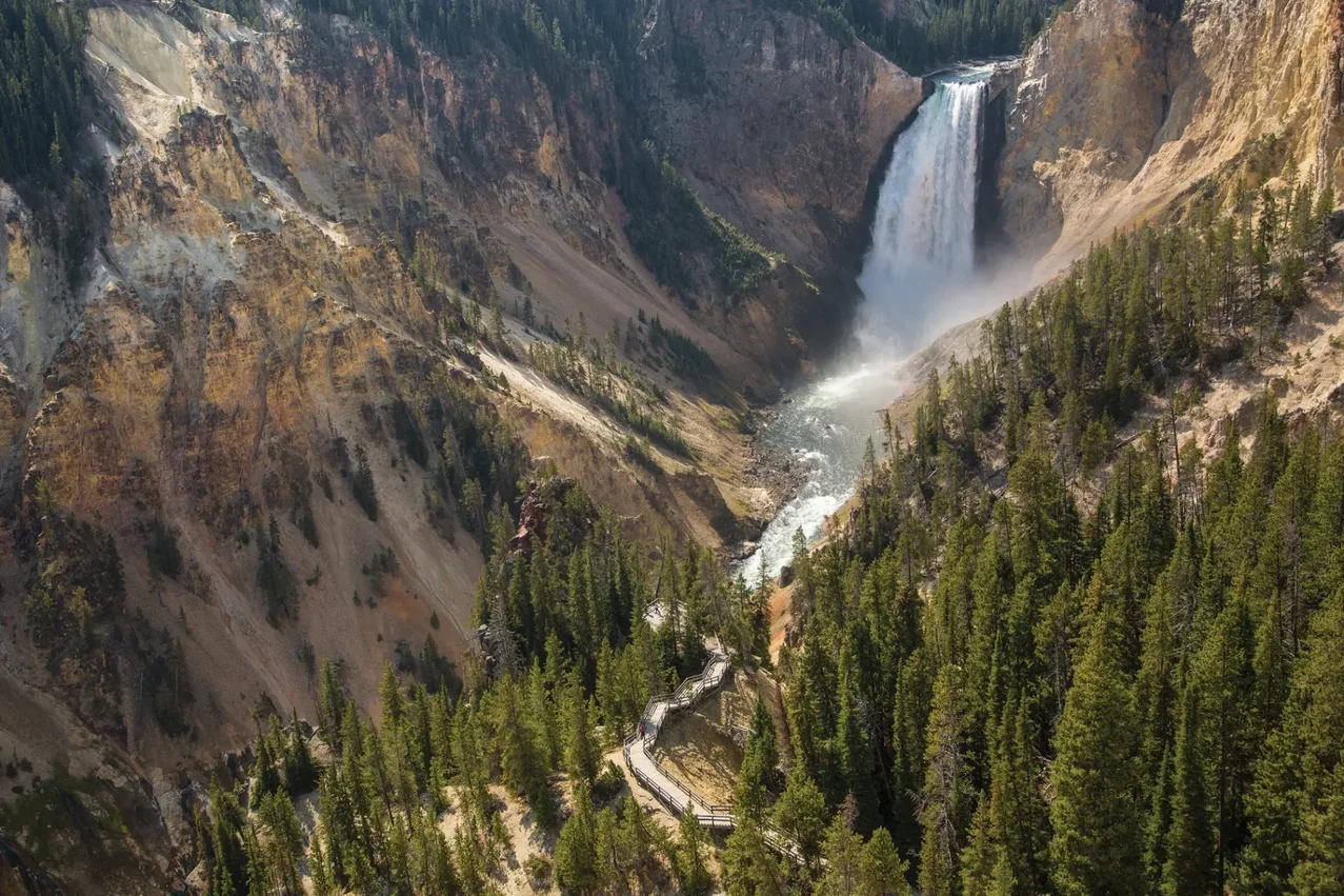 Lower Falls of the Yellowstone seen from Lookout Point on the North Rim