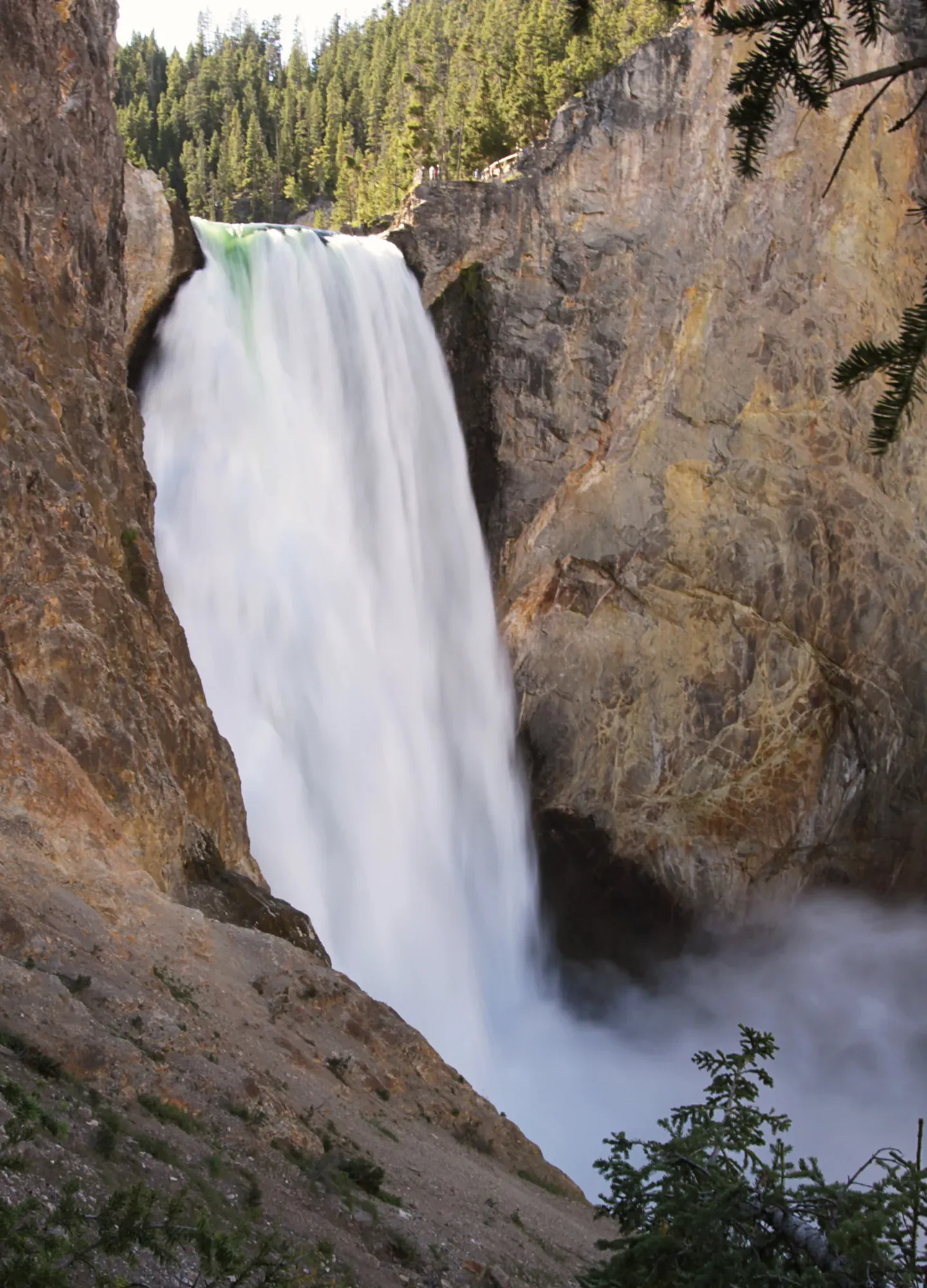 Side view of the Lower Falls of the Yellowstone showing the full 308-foot drop