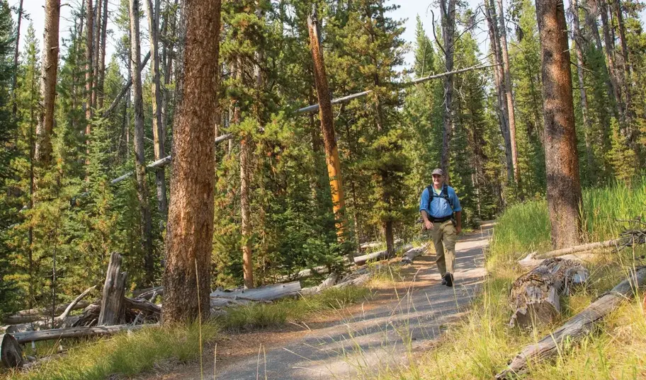 Trail leading from Canyon Village toward the Grand Canyon of the Yellowstone overlooks