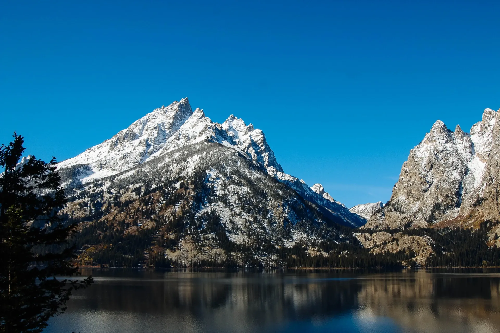 Grand Teton mountain reflected in calm water at moose habitat near Oxbow Bend