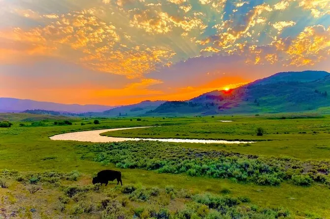 Lamar Valley sunrise