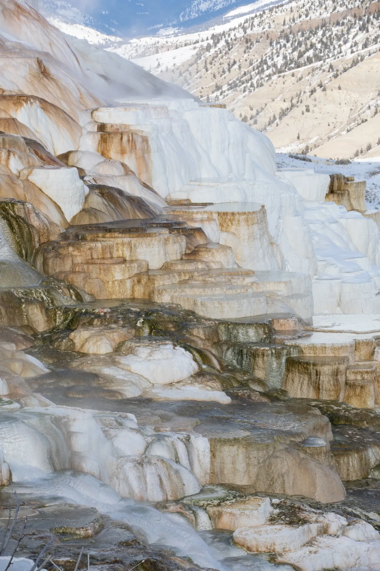 Best Hot Springs Near Yellowstone: Soakable Springs Guide