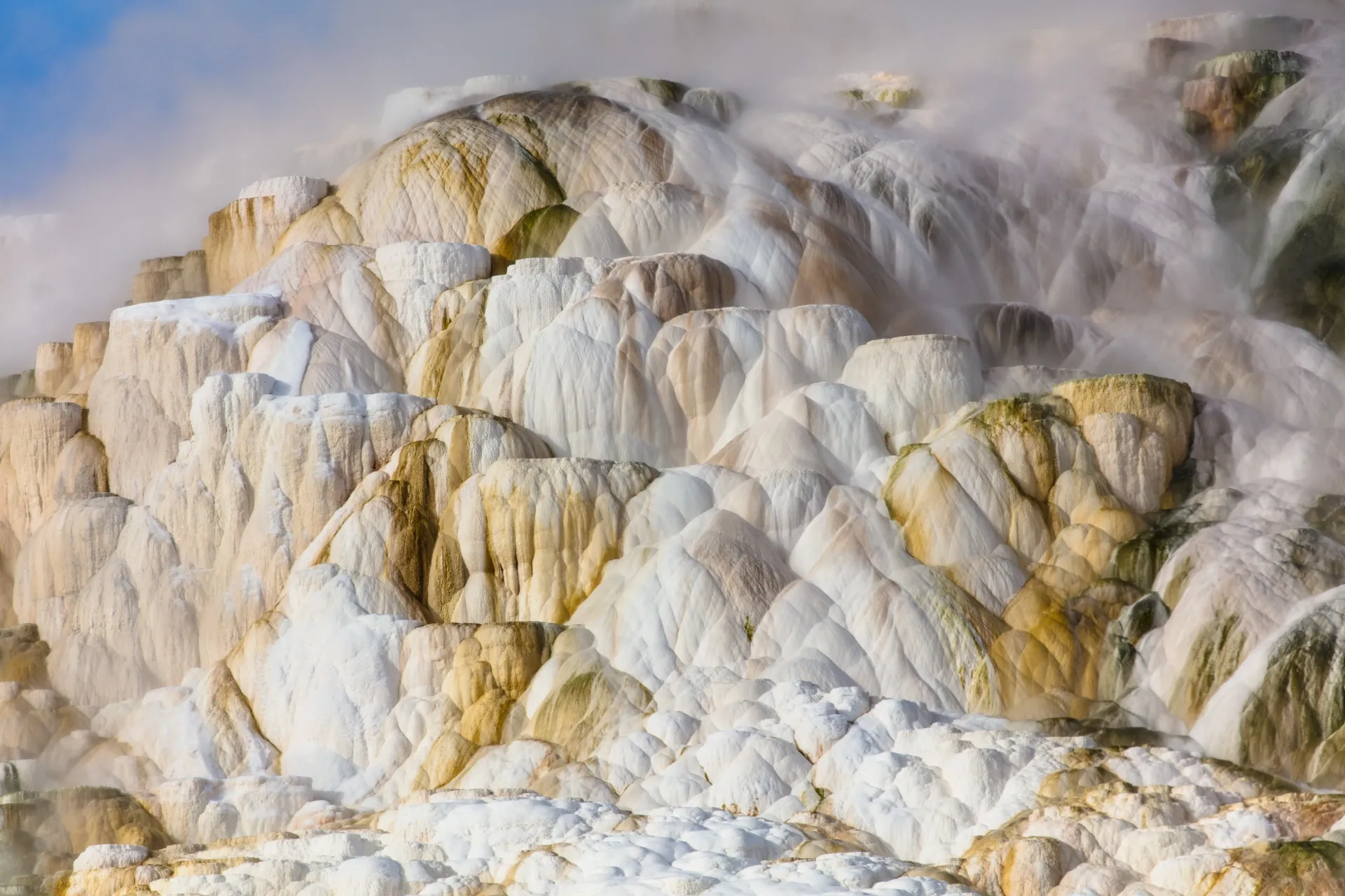 Mammoth Hot Springs terraces in Yellowstone