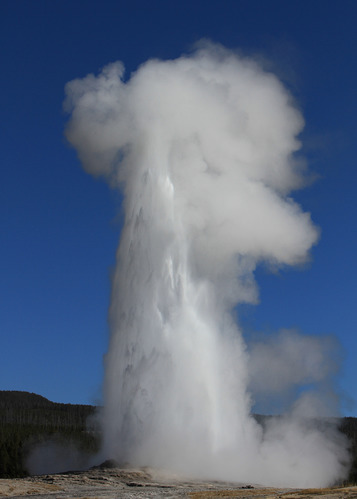 Old Faithful geyser erupting in Yellowstone National Park