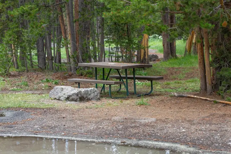 Best Places to Eat Near Yellowstone: Island Park & West Yellowstone Dining Guide