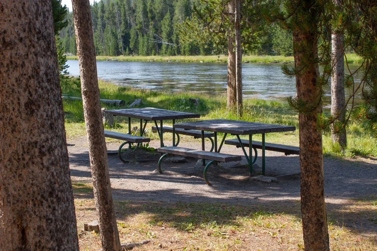 Picnic area along the Firehole River in Yellowstone surrounded by forest