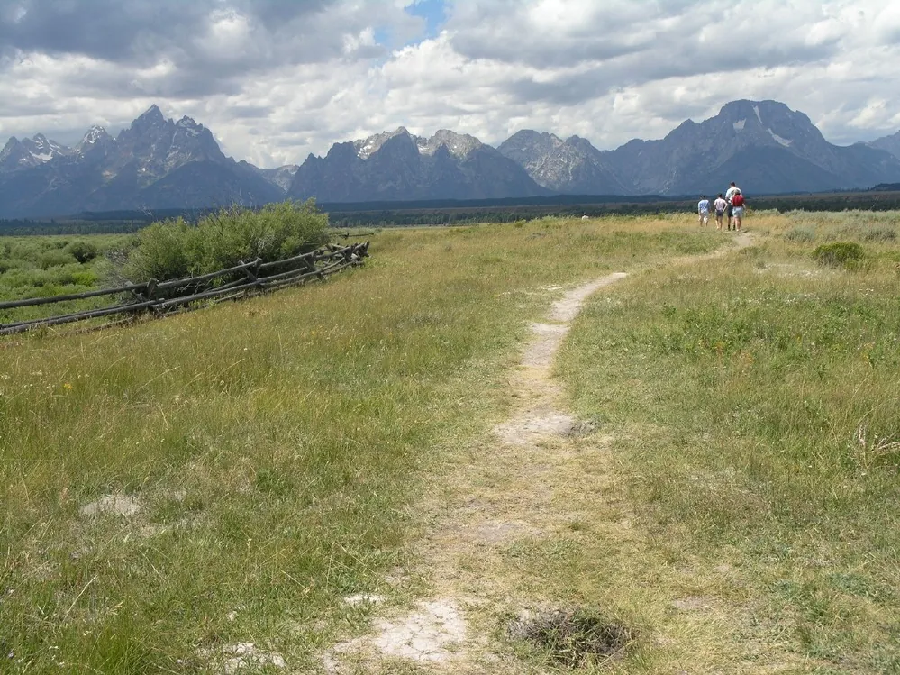 Snake River bottomlands below the Tetons