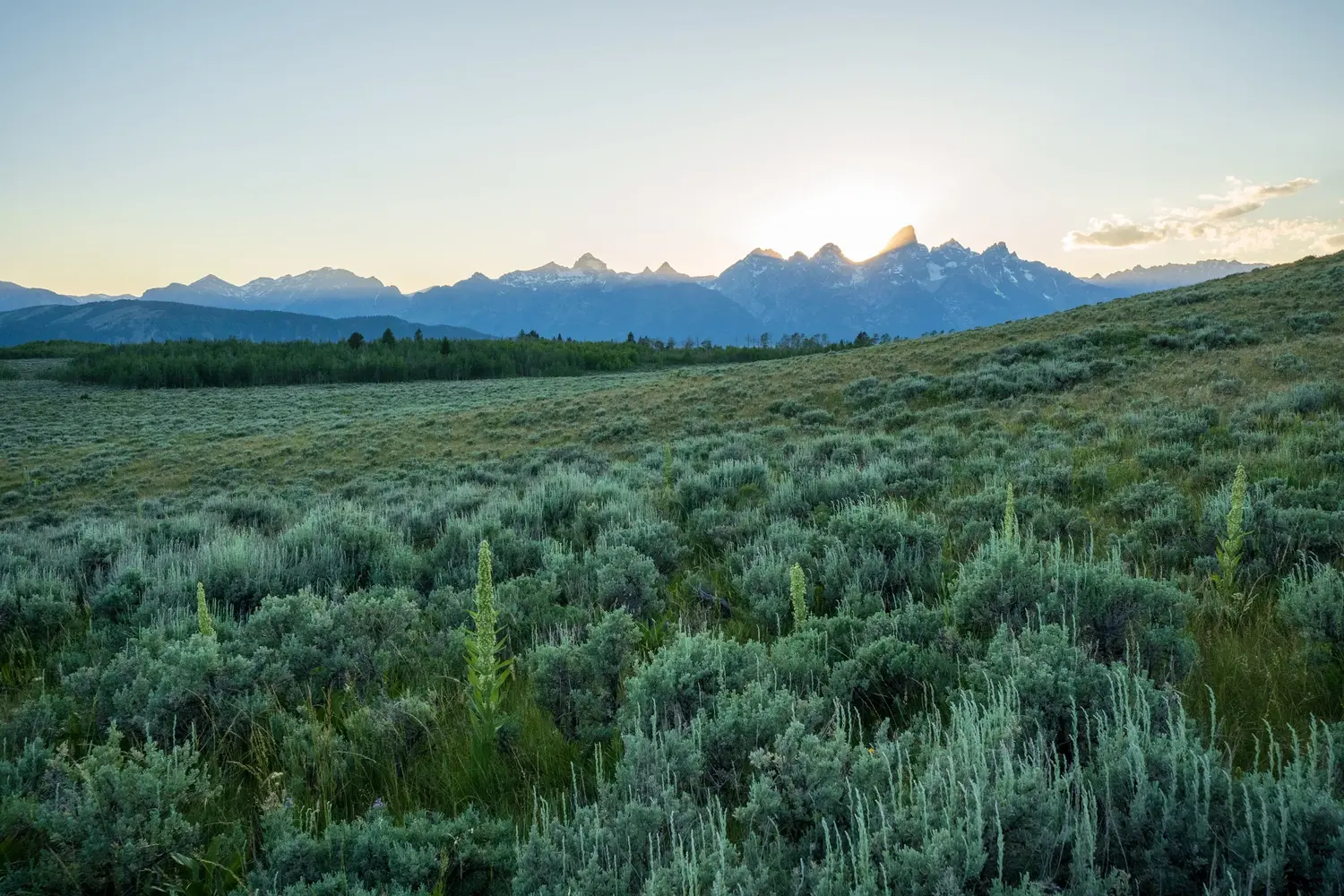 Grand Teton Range panorama