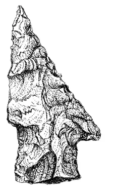Cody knife artifact dating to roughly 9,350 years ago