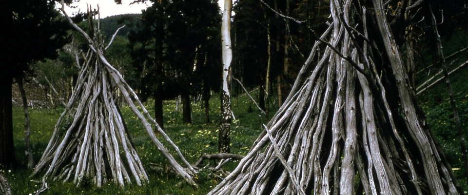 Wickiup shelters used by Native Americans in Yellowstone