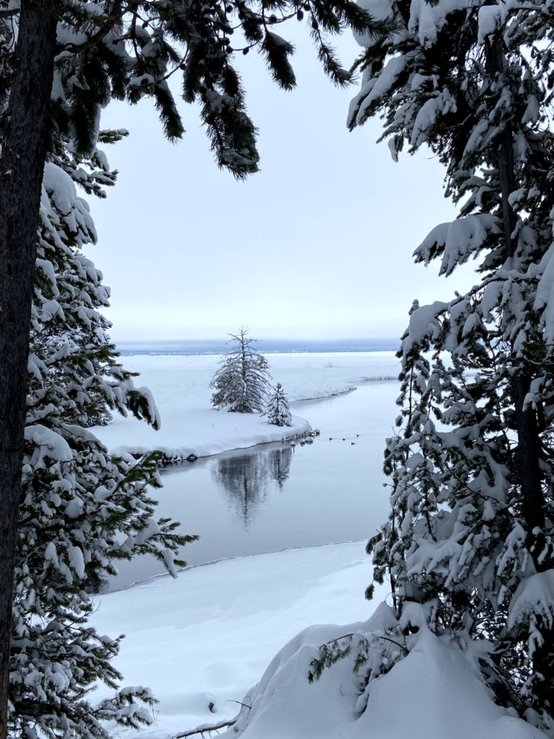Henry's Fork river in Harriman State Park in winter