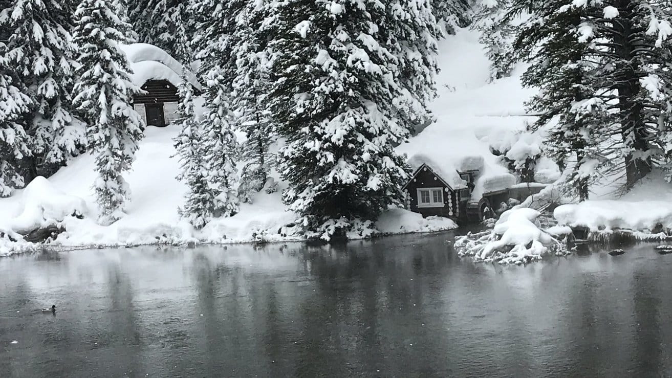 Johnny Sack Cabin close-up in winter