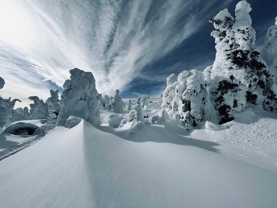 Winter in Yellowstone, Island Park & the Tetons